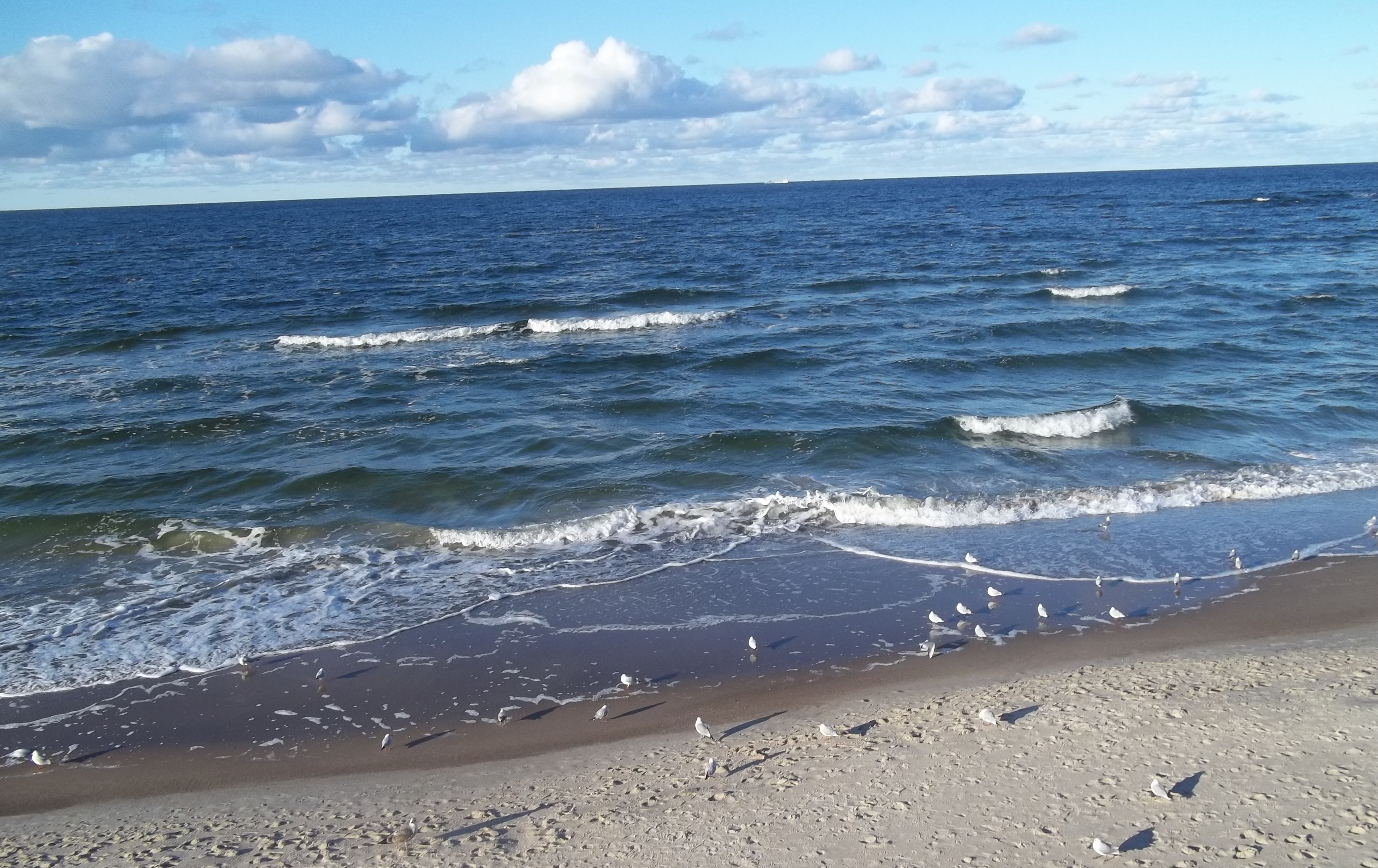 Plaża w Pobierowie
